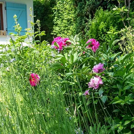 Idyllisches Am Berliner Stadtrand *