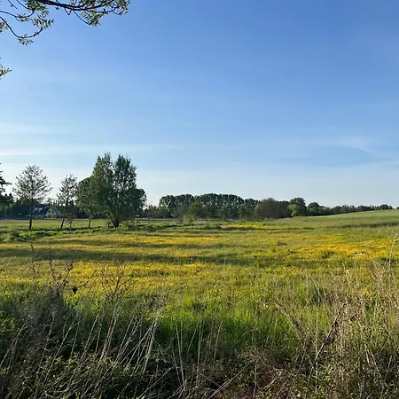 Idyllisches Am Berliner Stadtrand *