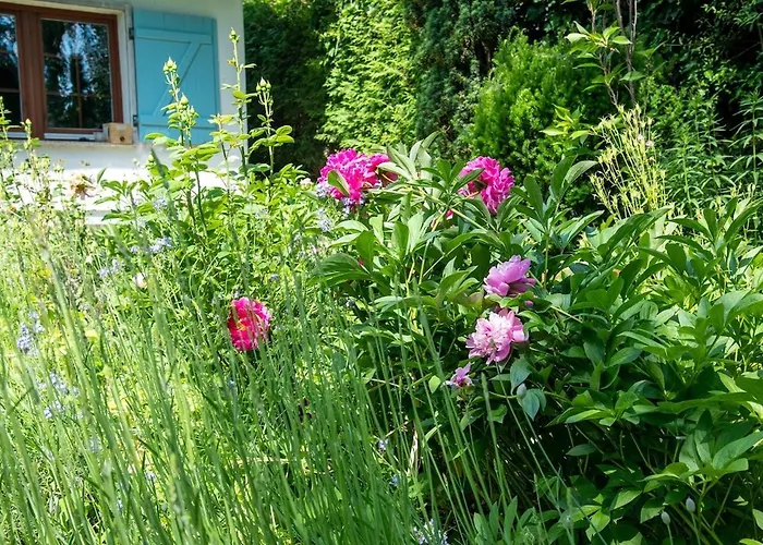 Idyllisches Am Berliner Stadtrand *